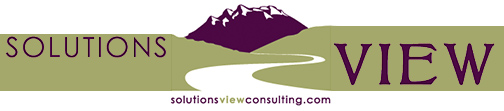 Solutions View Consulting